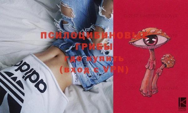 кокс Снежногорск